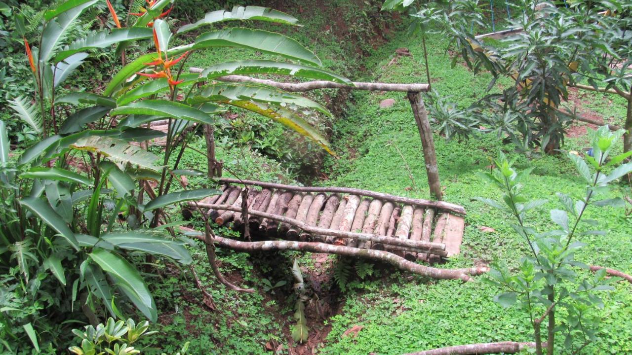 Centro Ecologico Montana Verde Rivas Buitenkant foto