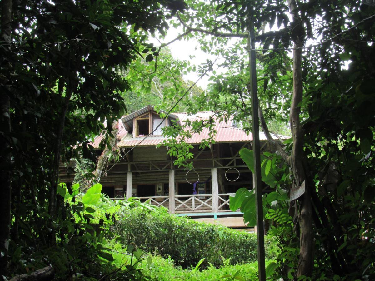 Centro Ecologico Montana Verde Rivas Buitenkant foto