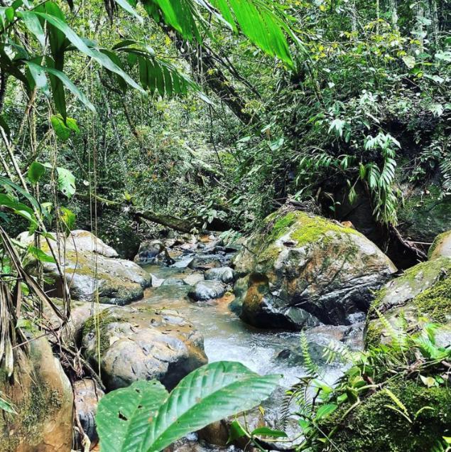 Centro Ecologico Montana Verde Rivas Buitenkant foto