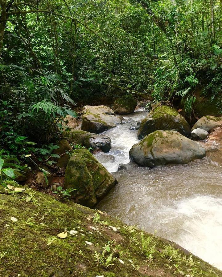 Centro Ecologico Montana Verde Rivas Buitenkant foto